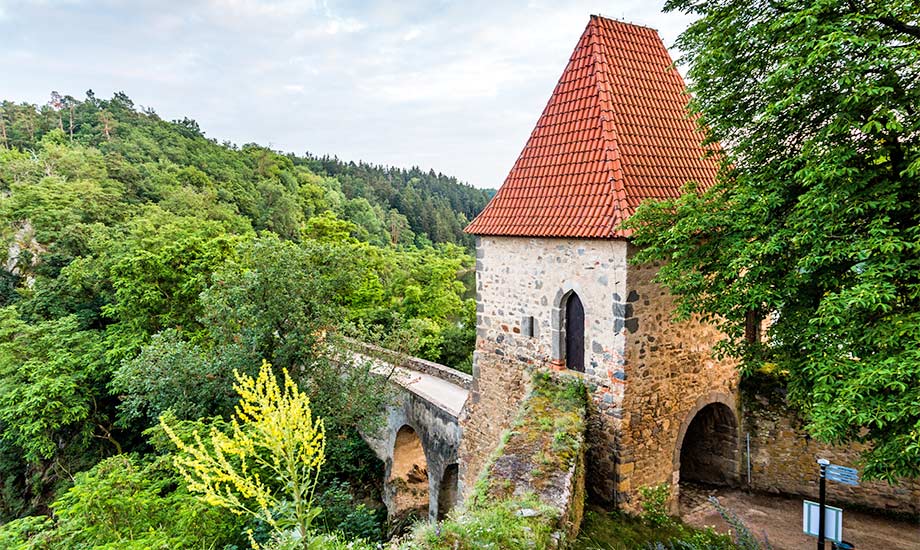 Hrad Zvikov